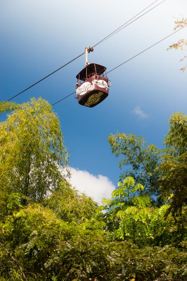 Teleferico en el Parque Nacional del Cafe, Montene...