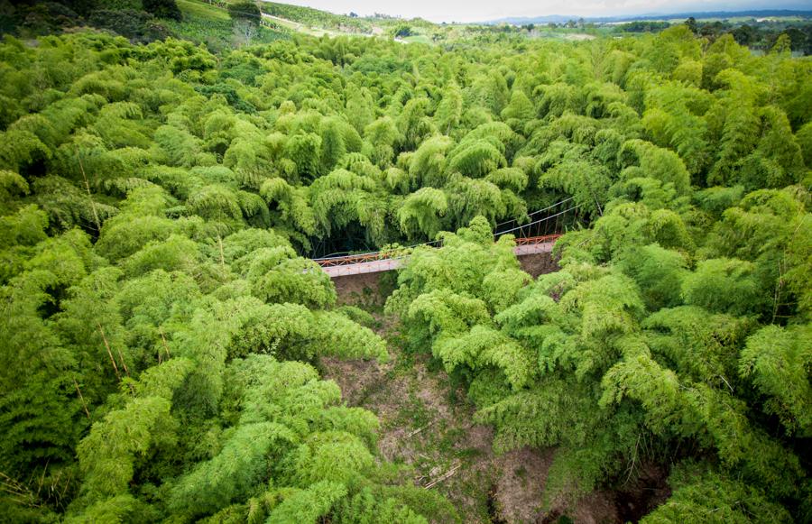 Puente del Parque Nacional del Cafe, Montenegro, Q...