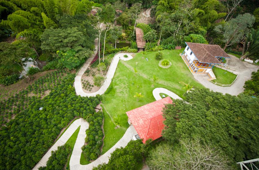 Paisaje Aereo en el Parque Nacional del Cafe, Mont...