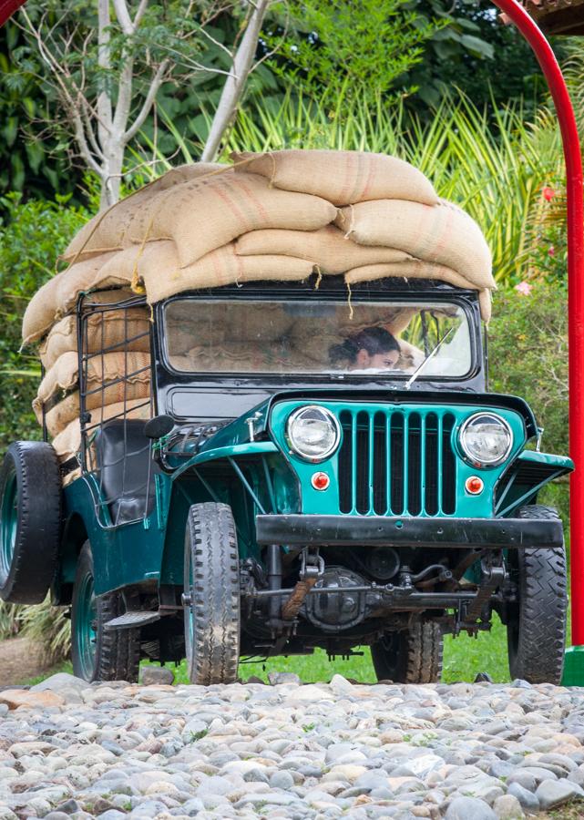 Willys Cargado de Costales en el Parque Nacional d...