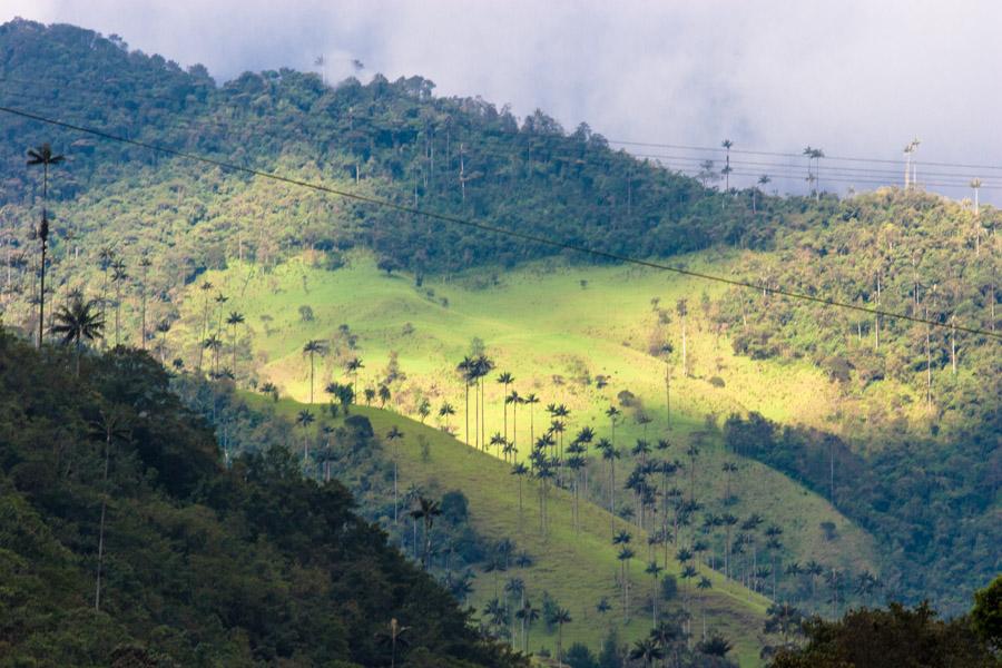 Paisaje en el Valle del Cocora, Salento, QuIndio, ...