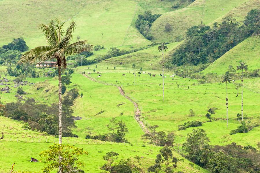 Casa en Medio del Valle del Cocora, Salento, QuInd...