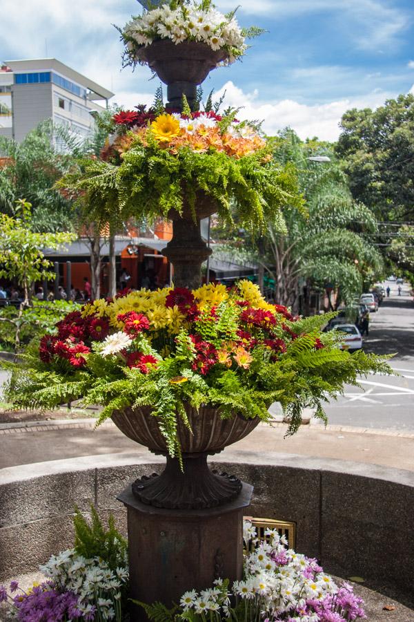 Fuente con Flores en el Parque LLeras, Medellin, A...