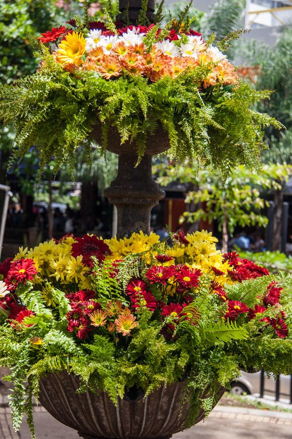 Fuente con Flores en el Parque LLeras, Medellin, A...