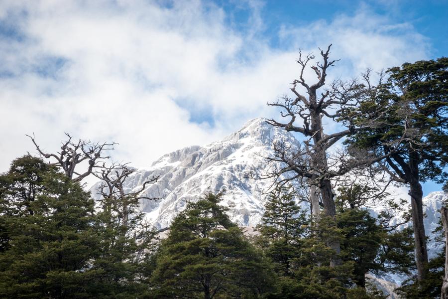 Riscos y Nevados, Puerto Blest, Provincia de Rio N...