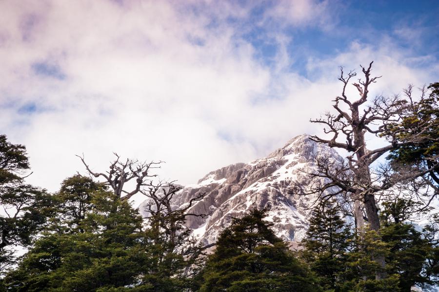 Riscos y Nevados, Puerto Blest, Provincia de Rio N...