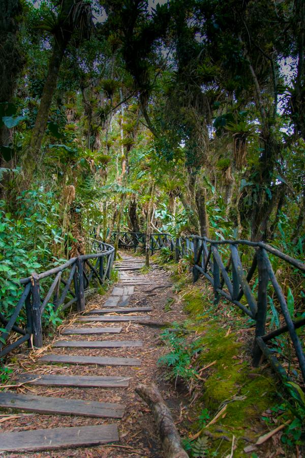 Puente natural en la Isla Corota, San Juan de Past...