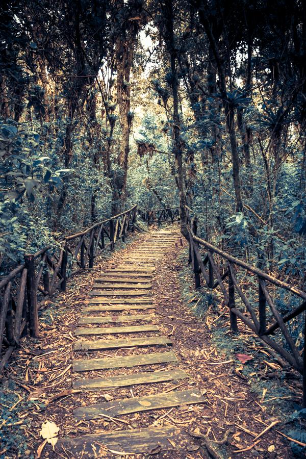 Puente natural en la Isla Corota, San Juan de Past...