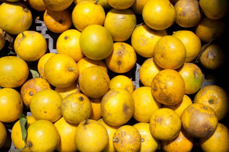 Primer Plano de una Naranjas