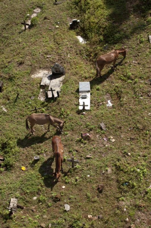 Cementerio en el Campo, Colombia