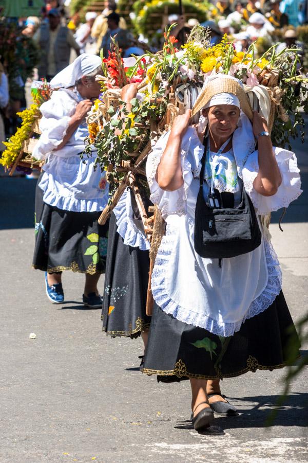 Silleteras cargando una Silleta, Desfile de Sillet...