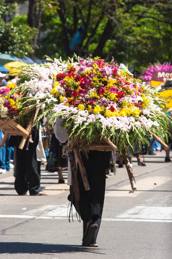 Desfile de Silleteros, Feria de Flores, Medellin, ...