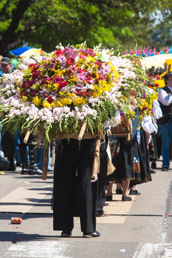 Desfile de Silleteros, Feria de Flores, Medellin, ...