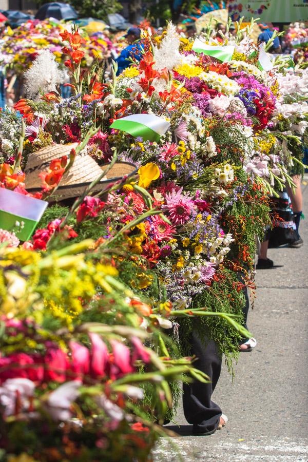 Desfile de Silleteros, Feria de Flores, Medellin, ...