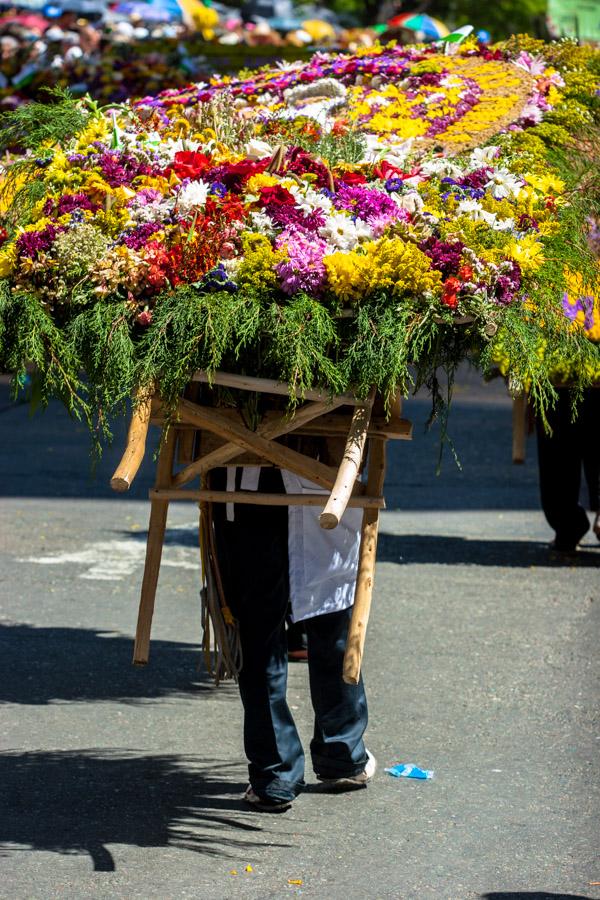 Desfile de Silleteros, Feria de Flores, Medellin, ...