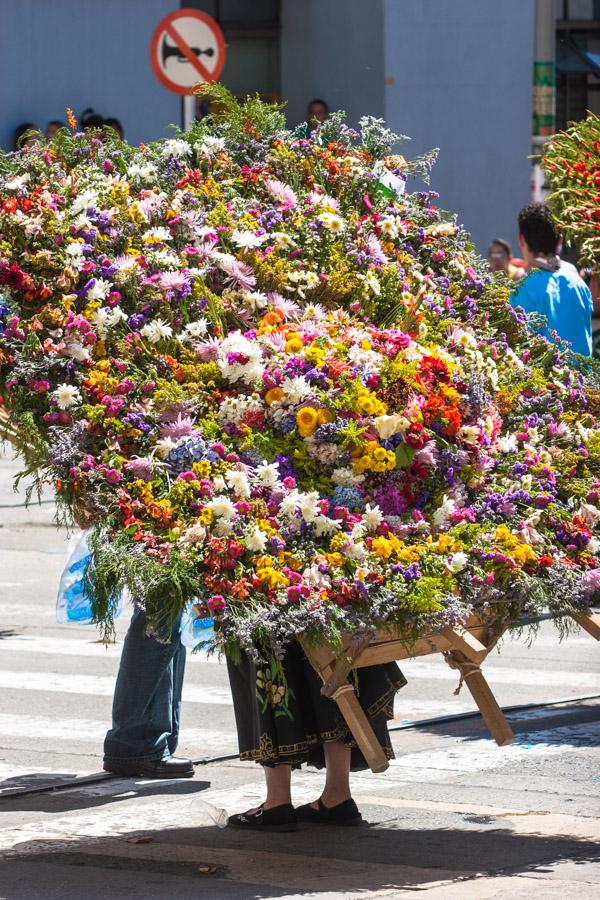 Desfile de Silleteros, Feria de Flores, Medellin, ...