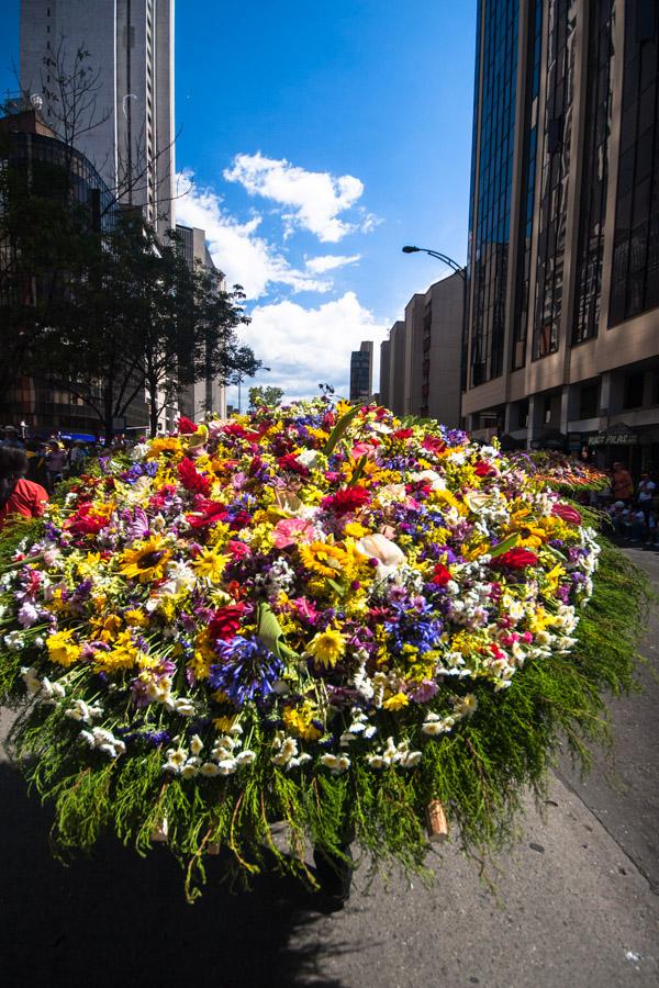 Desfile de Silleteros, Feria de Flores, Medellin, ...