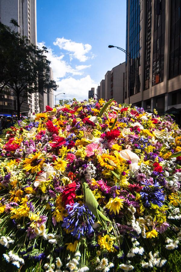 Desfile de Silleteros, Feria de Flores, Medellin, ...