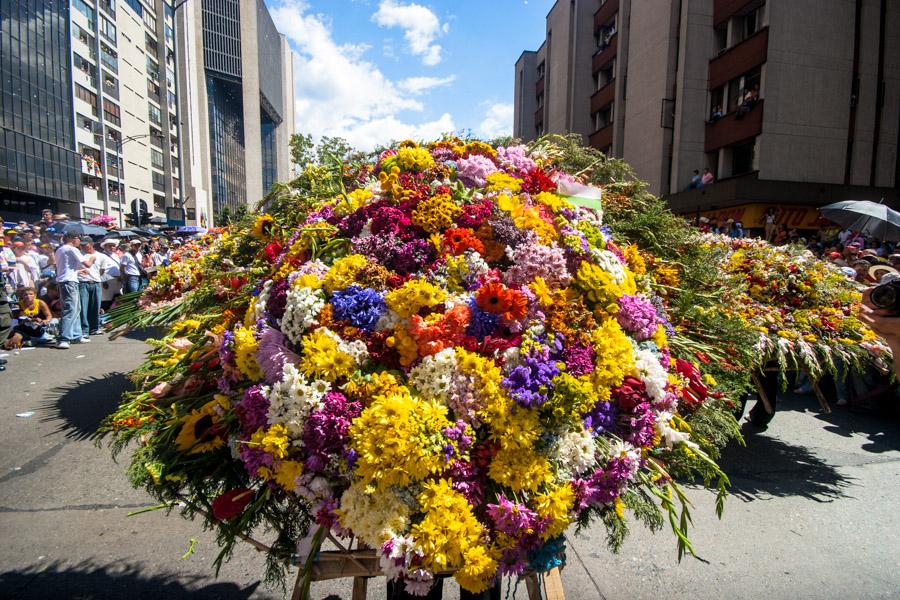 Desfile de Silleteros, Feria de Flores, Medellin, ...