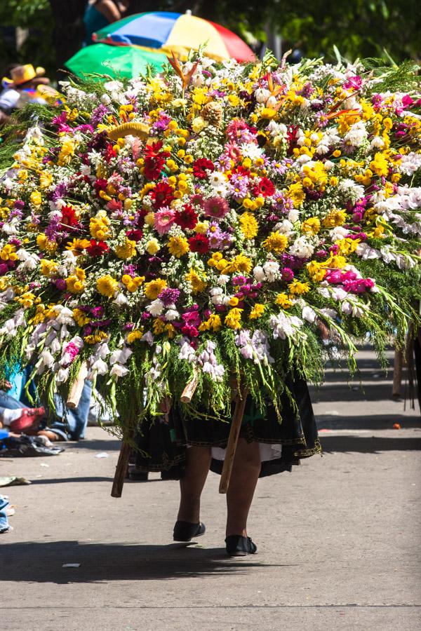 Desfile de Silleteros, Feria de Flores, Medellin, ...