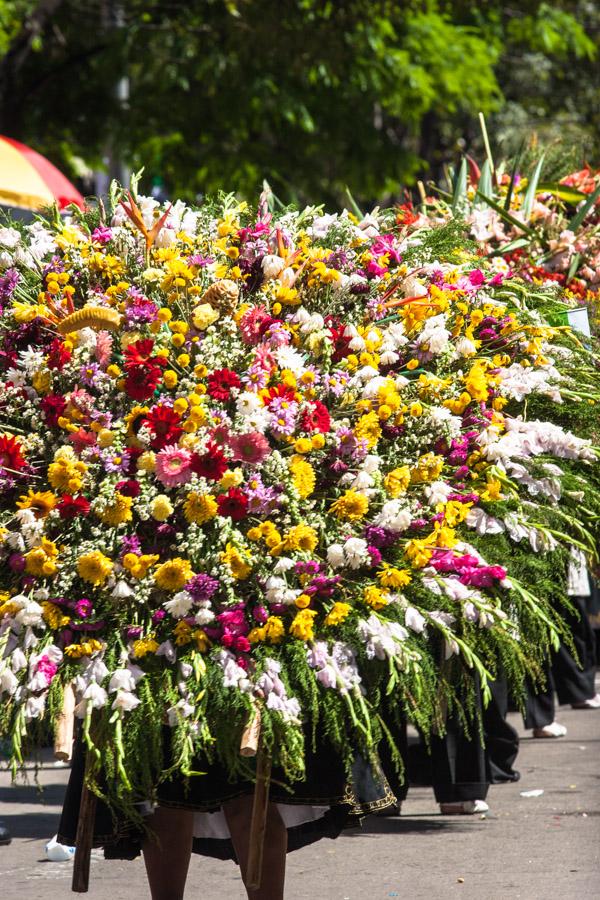 Desfile de Silleteros, Feria de Flores, Medellin, ...