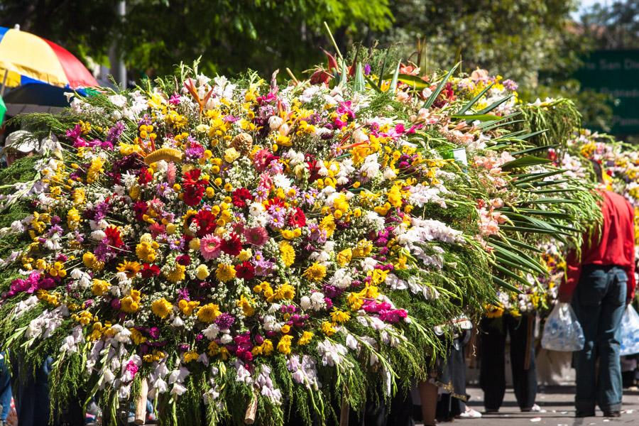 Desfile de Silleteros, Feria de Flores, Medellin, ...