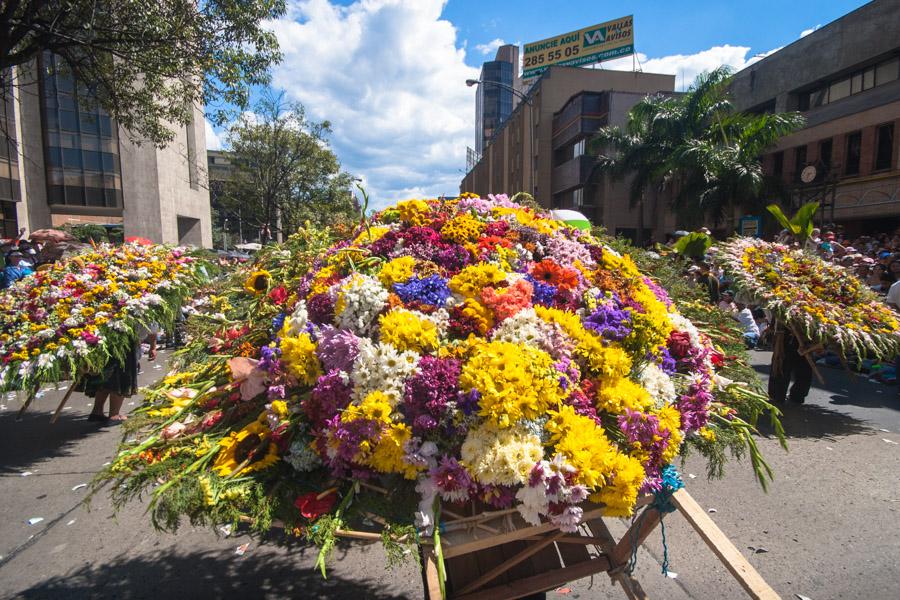 Desfile de Silleteros, Feria de Flores, Medellin, ...