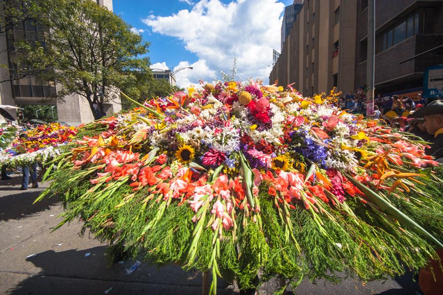 Desfile de Silleteros, Feria de Flores, Medellin, ...