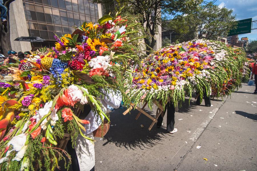 Desfile de Silleteros, Feria de Flores, Medellin, ...