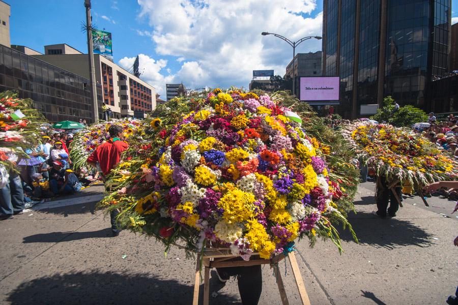 Desfile de Silleteros, Feria de Flores, Medellin, ...