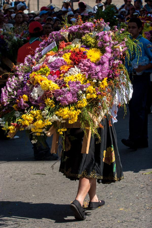 Desfile de Silleteros, Feria de Flores, Medellin, ...