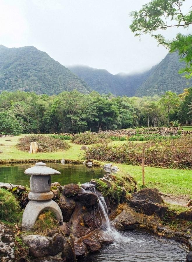 Jardin en una Zona Campestre en Panama