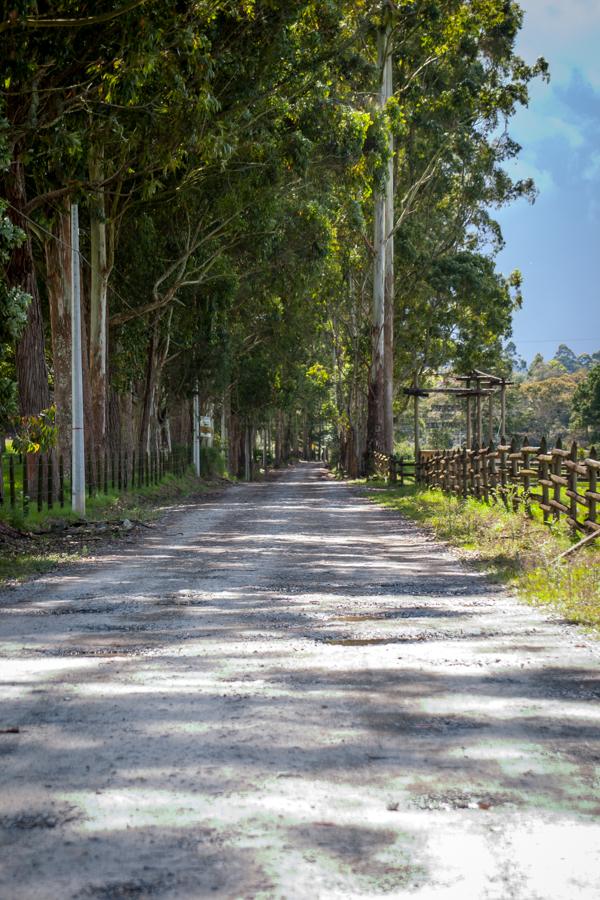 Carretera