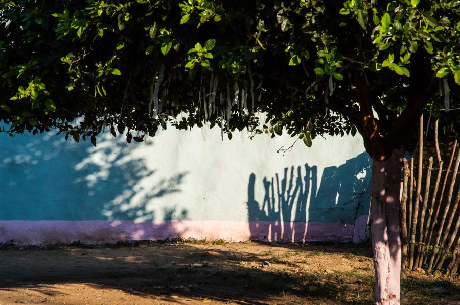 Sombra de un Arbol, Talaigua, Bolivar, Colombia