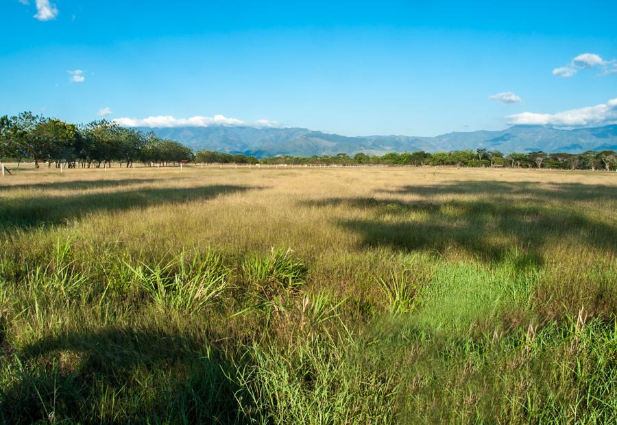 Paisaje de Cesar, Valledupar, Colombia