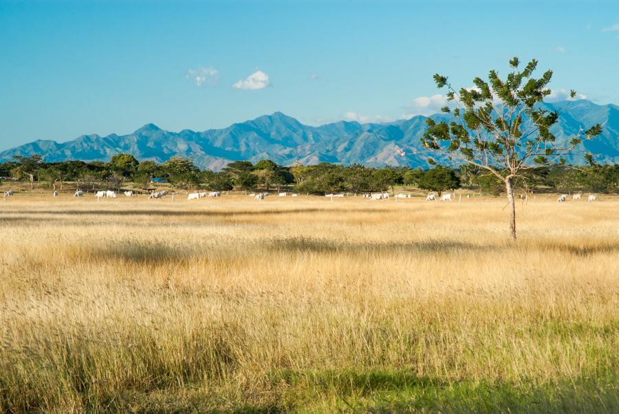 Paisaje de Cesar, Valledupar, Colombia