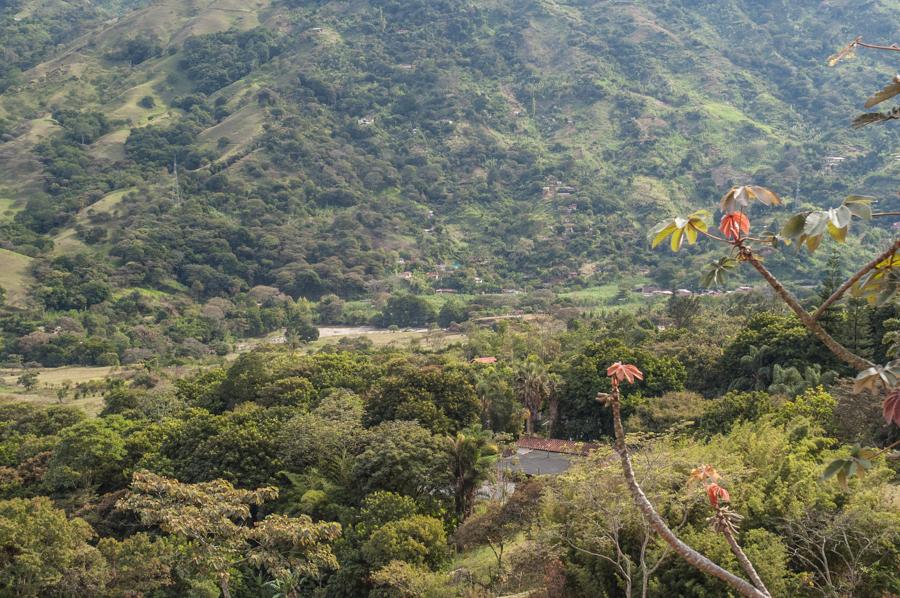 Paisaje en Don Matias, Antioquia, Colombia