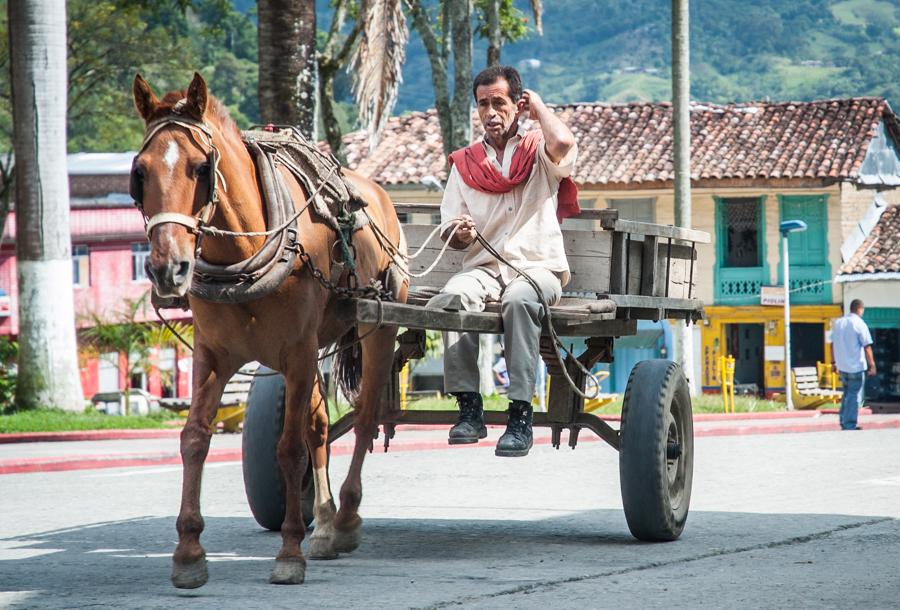 Carreta en Genova, QuIndio, Colombia