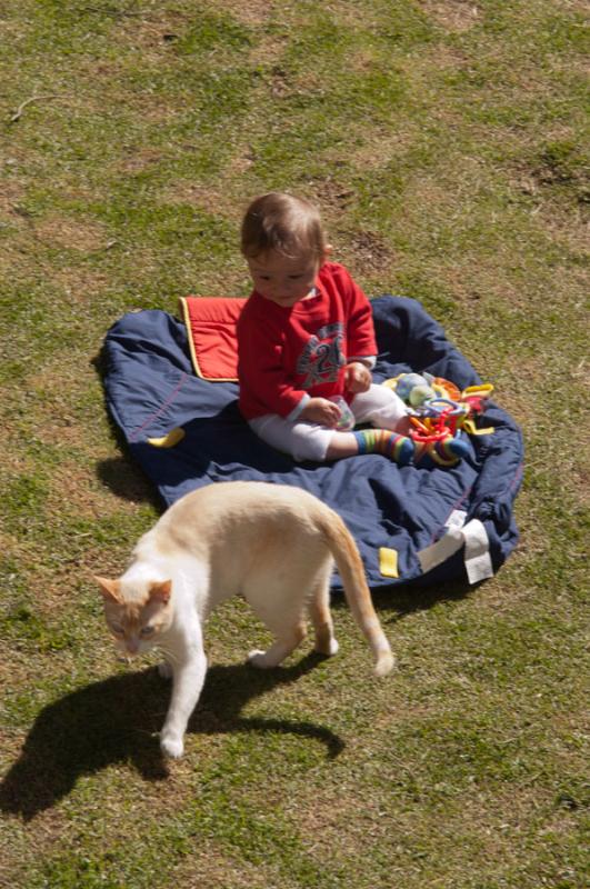 Bebe en el Campo