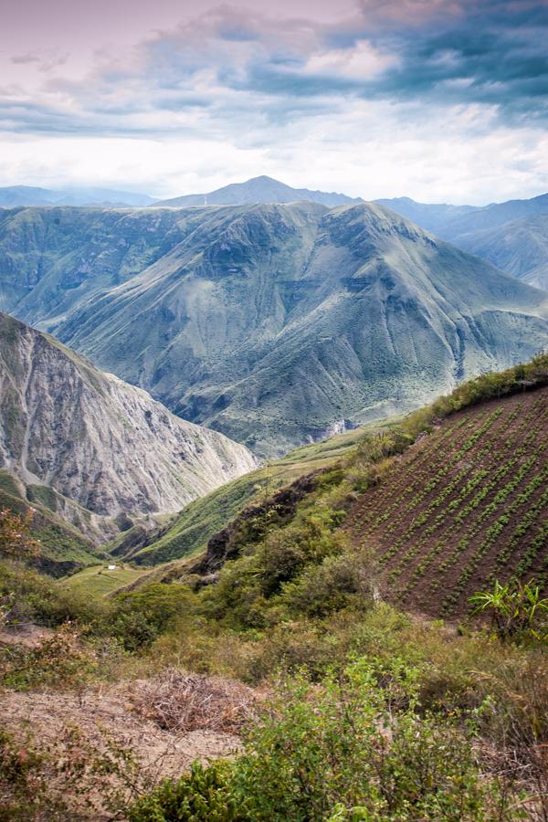 Paisaje Natural