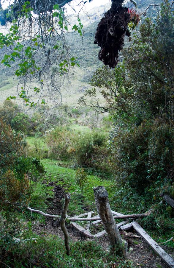 Paisaje de Las Juntas, Cundinamarca, Colombia