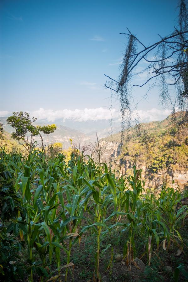 Cañon del Chicamocha, Santander, Bucaramanga, Col...