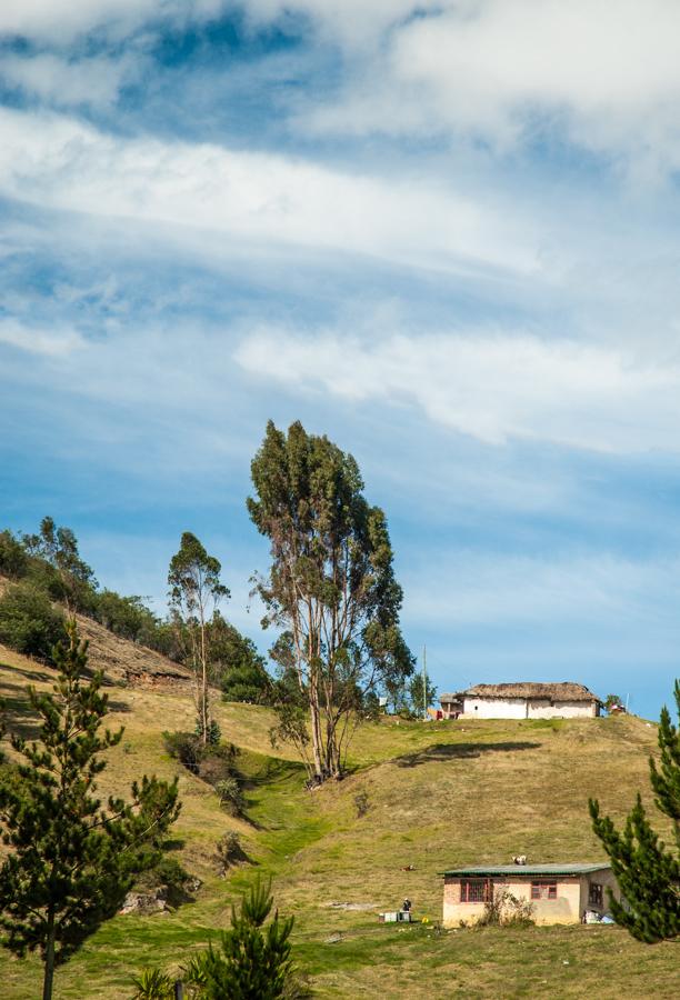 Vivienda en el Campo