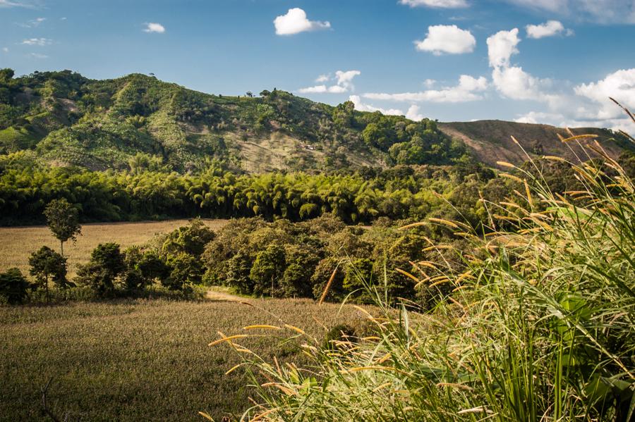 Paisaje Natural