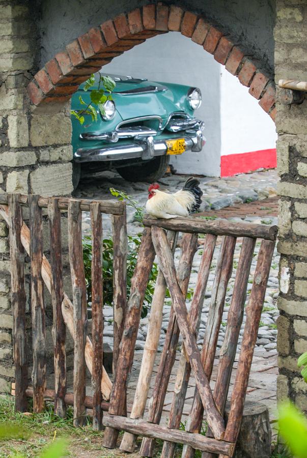 Entrada de una Vivienda, Santa Elena, El Cerrito, ...