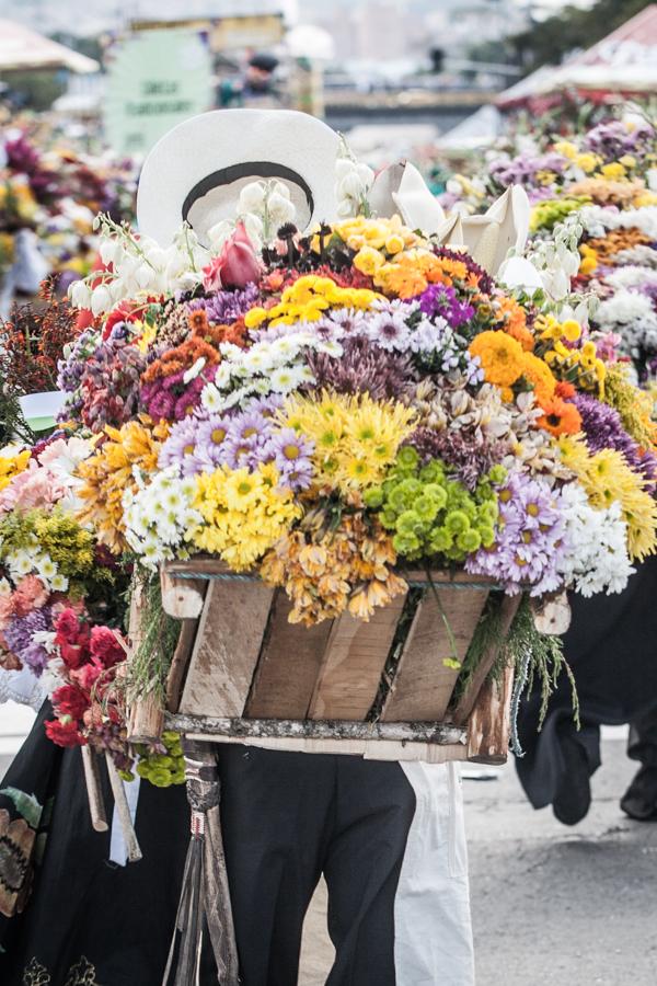 Desfile de Silleteros, Feria de las Flores, Medell...