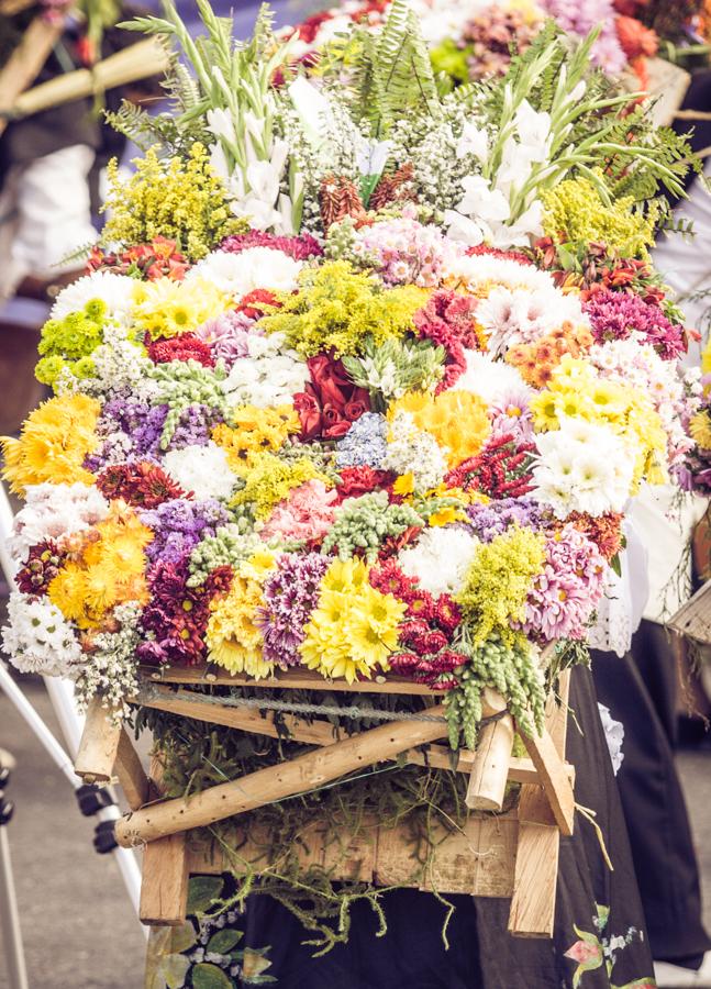 Desfile de Silleteros, Feria de las Flores, Medell...