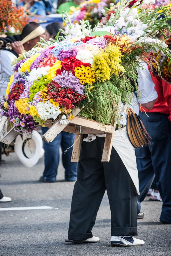 Desfile de Silleteros, Feria de las Flores, Medell...