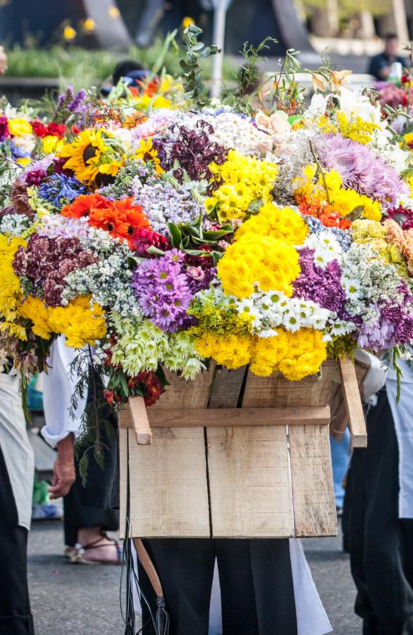 Desfile de Silleteros, Feria de las Flores, Medell...