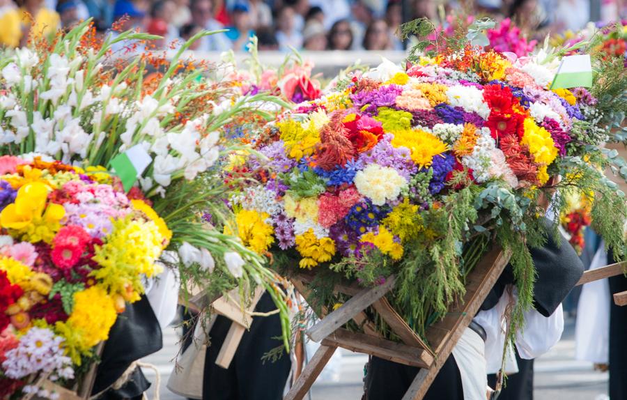 Desfile de Silleteros, Feria de las Flores, Medell...